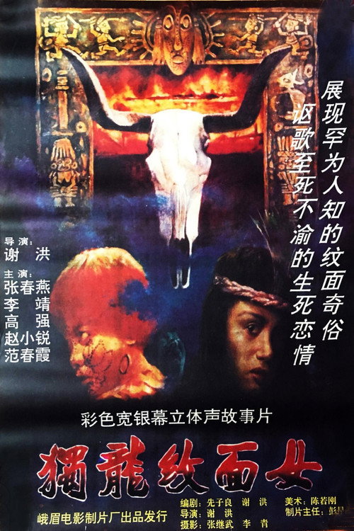 独龙纹面女 封面