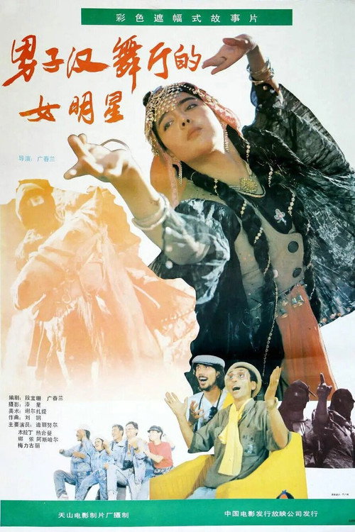 男子汉舞厅的女明星 封面