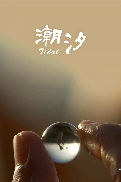 潮汐 封面