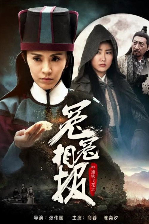 神捕铁飞花之冤冤相报 封面