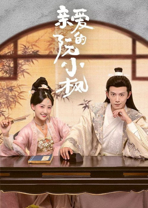 亲爱的阮小枫 封面