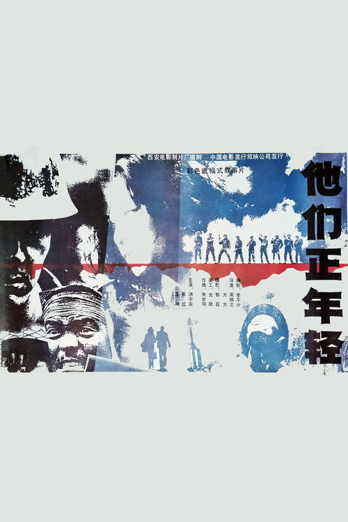 他们正年轻 封面
