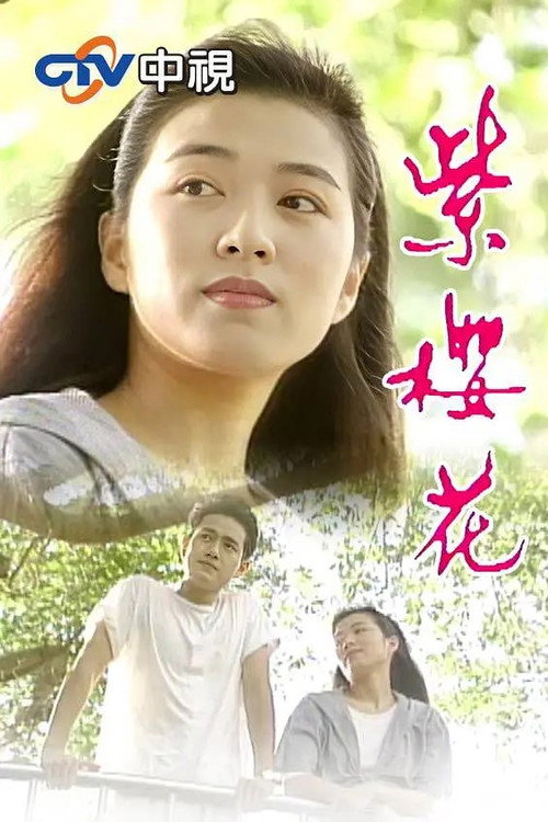 紫樱花 封面