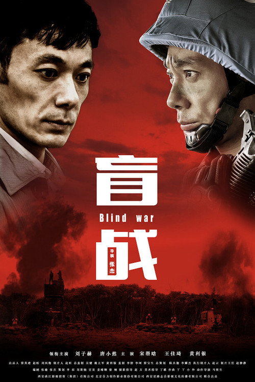 盲战 封面