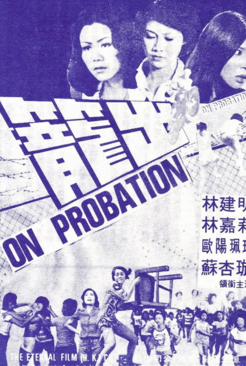 出笼 封面