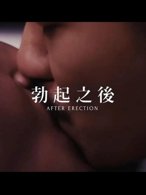 勃起之后 封面