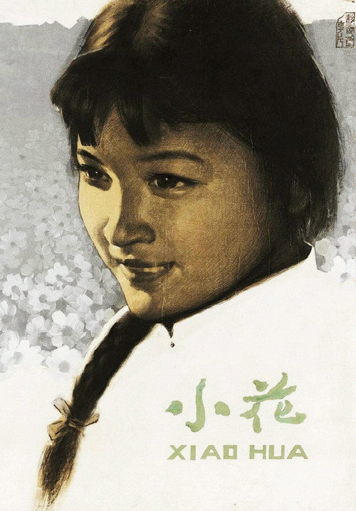 小花 封面