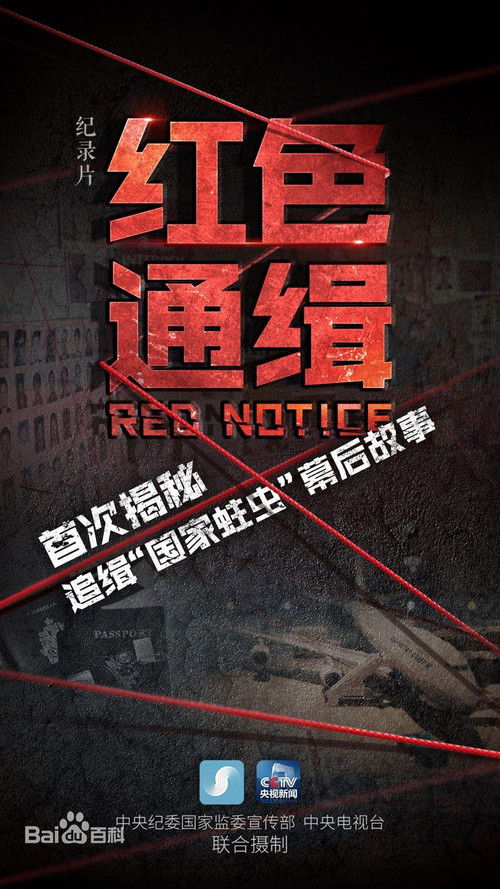 红色通缉 封面