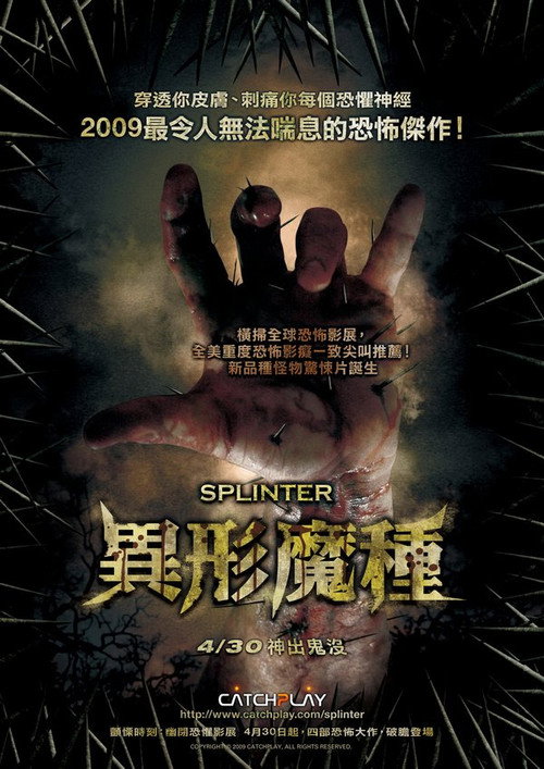 刺 封面