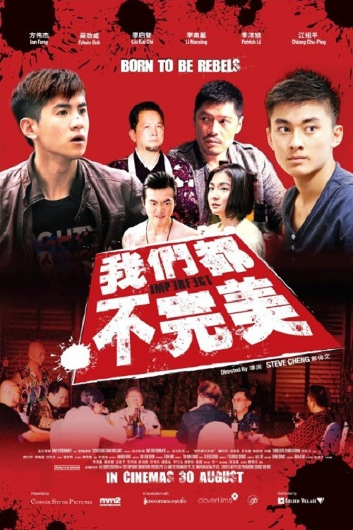 我们都不完美 封面
