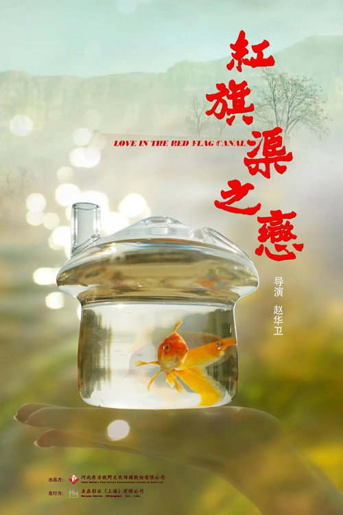 红旗渠之恋 封面