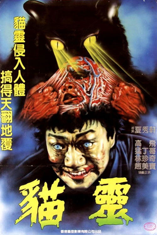猫灵 封面