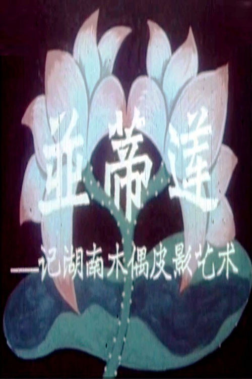 并蒂莲 封面