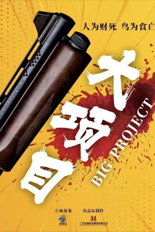 大项目 封面