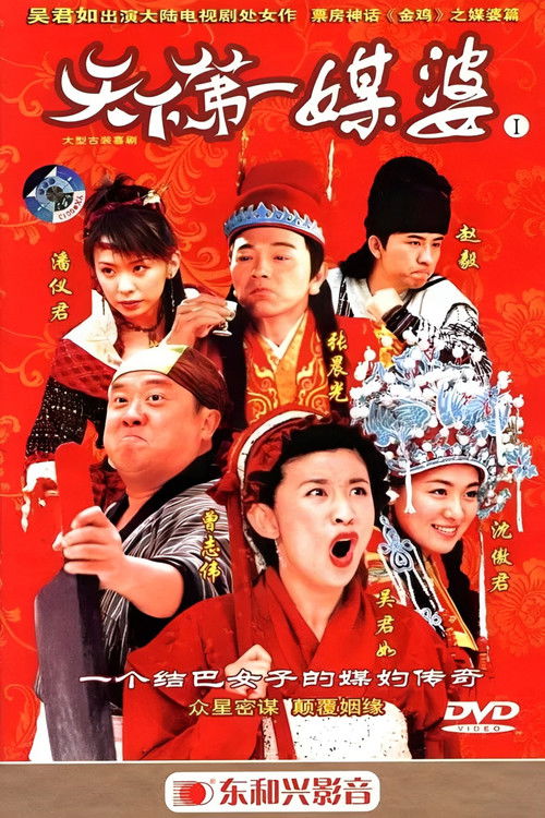 天下第一媒婆 封面