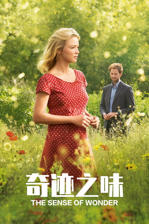 奇迹之味 封面