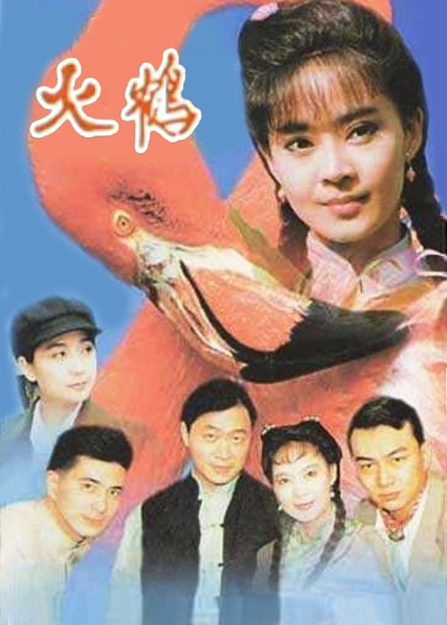 火鹤 封面