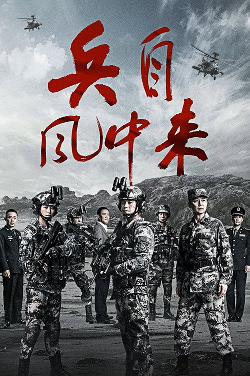 兵自风中来 封面