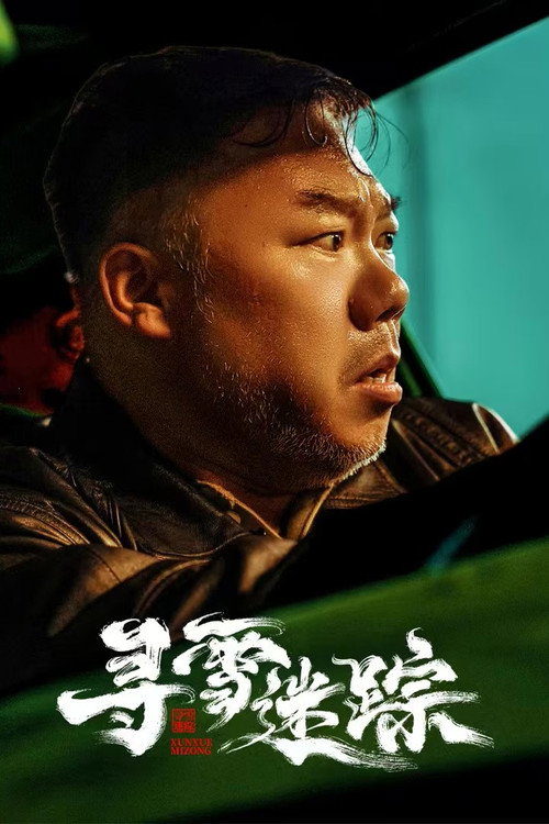 寻雪迷踪 封面