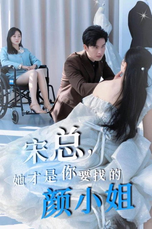 宋总，她才是你要找的颜小姐 封面