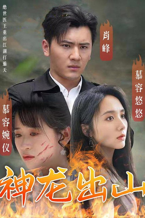 神龙出山 封面