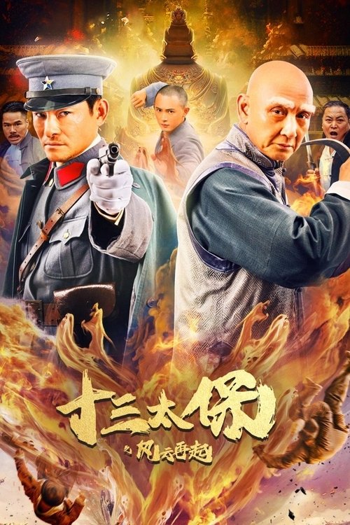 十三太保之风云再起 封面
