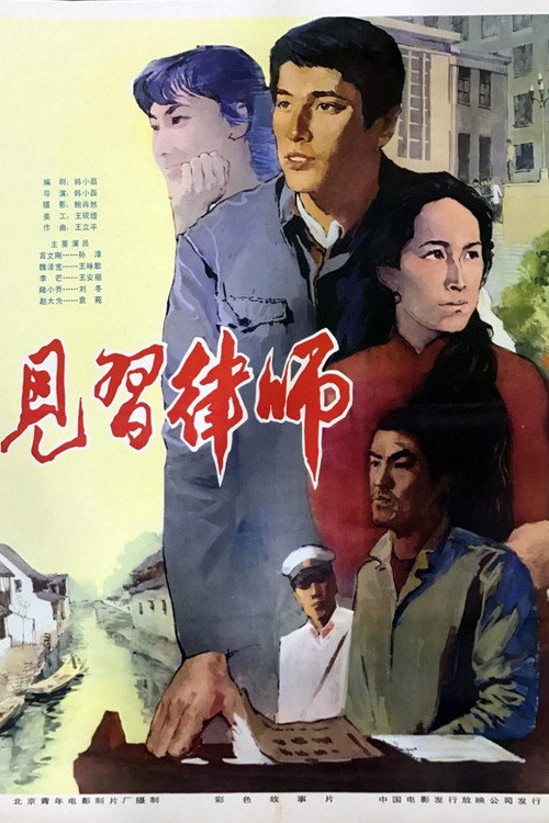 见习律师 封面