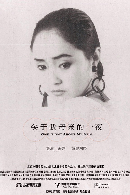 关于我母亲的一夜 封面
