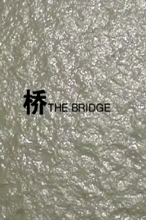 桥 封面