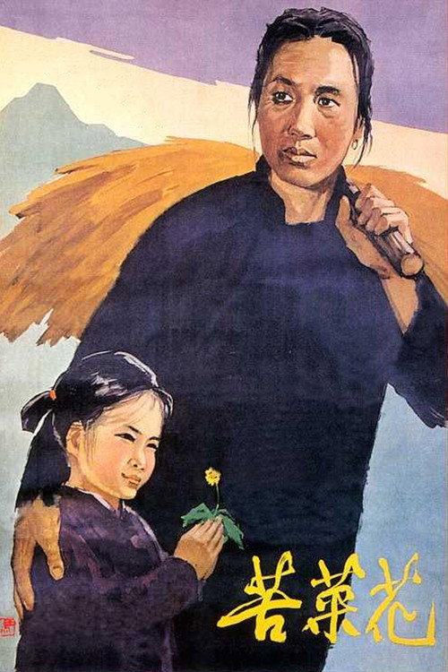 苦菜花 封面
