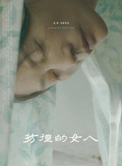 彷徨的女人 封面