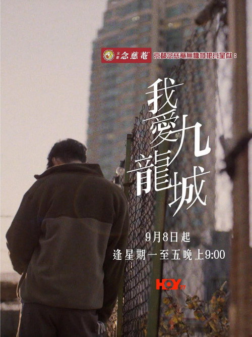 我爱九龙城 封面