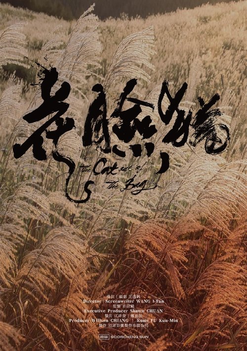 花臉貓：修羅道 封面
