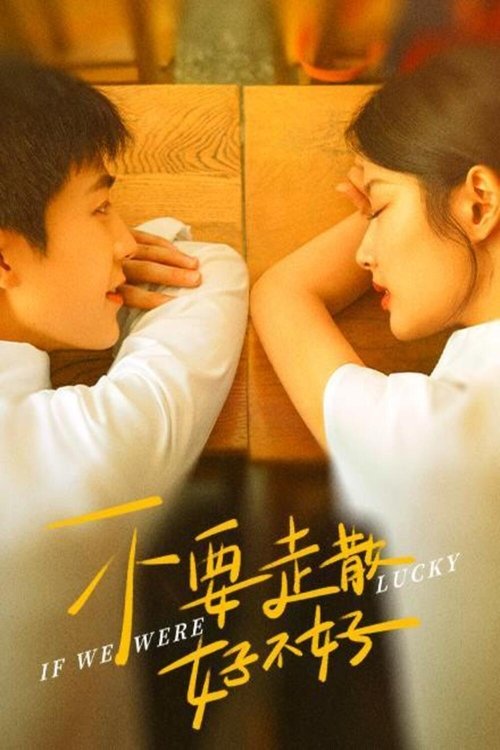 不要走散好不好 封面