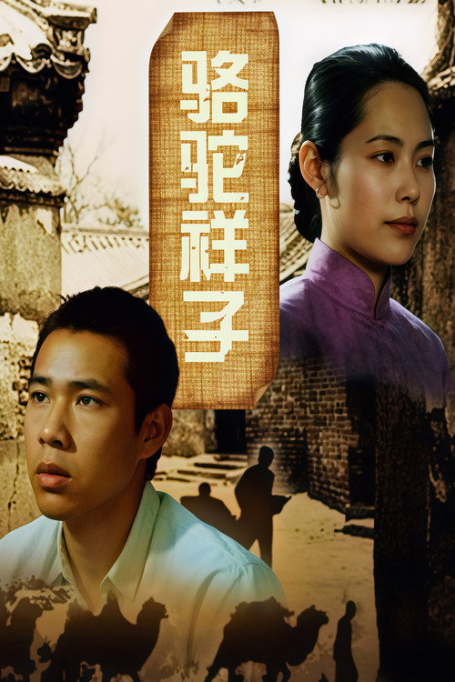 骆驼祥子 封面