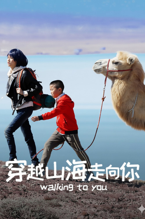 穿越山海走向你 封面