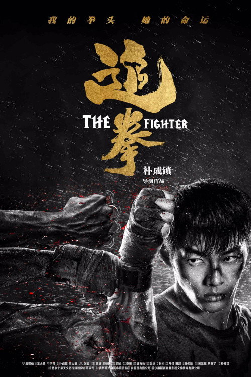 追拳 封面