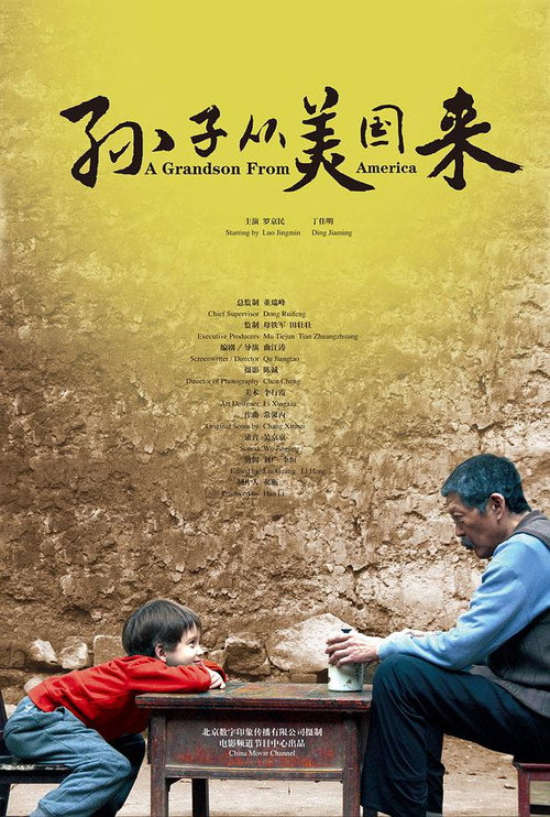 孙子从美国来 封面