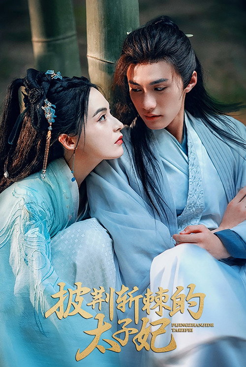 披荆斩棘的太子妃 封面