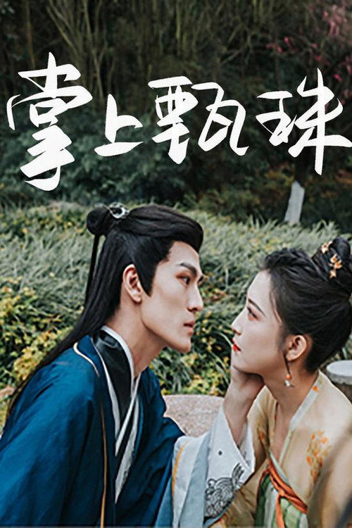 掌上甄珠 封面