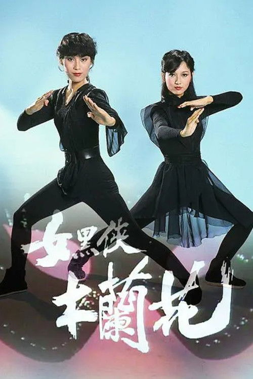 女黑侠木兰花 封面