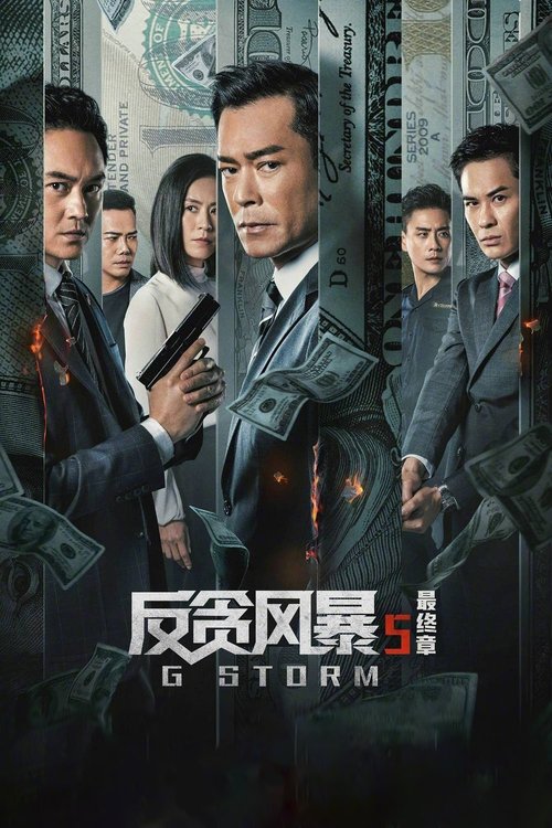 反贪风暴5:最终章 封面
