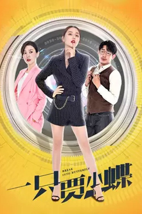 一只贾小蝶 封面
