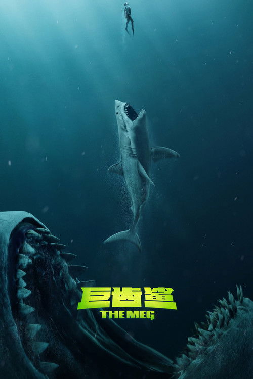 巨齿鲨 封面