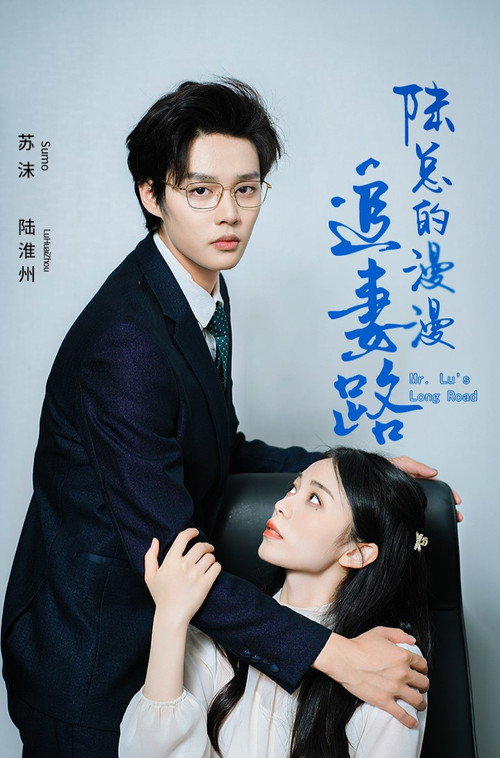 陆总的漫漫追妻路 封面
