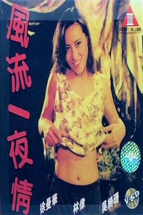 风流一夜情 封面