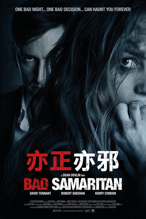 亦正亦邪 封面