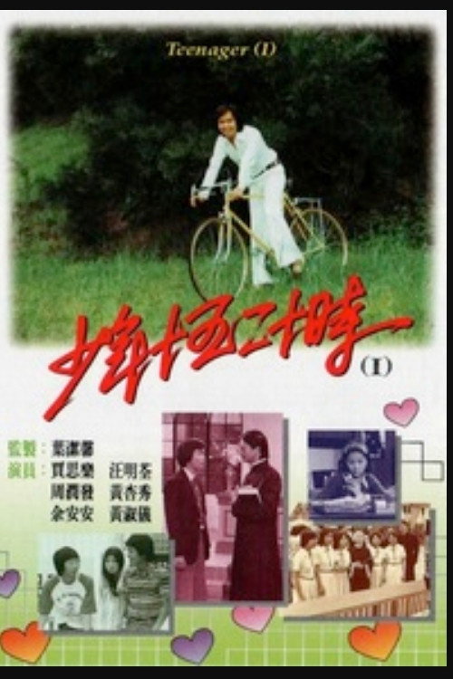 少年十五二十时 封面