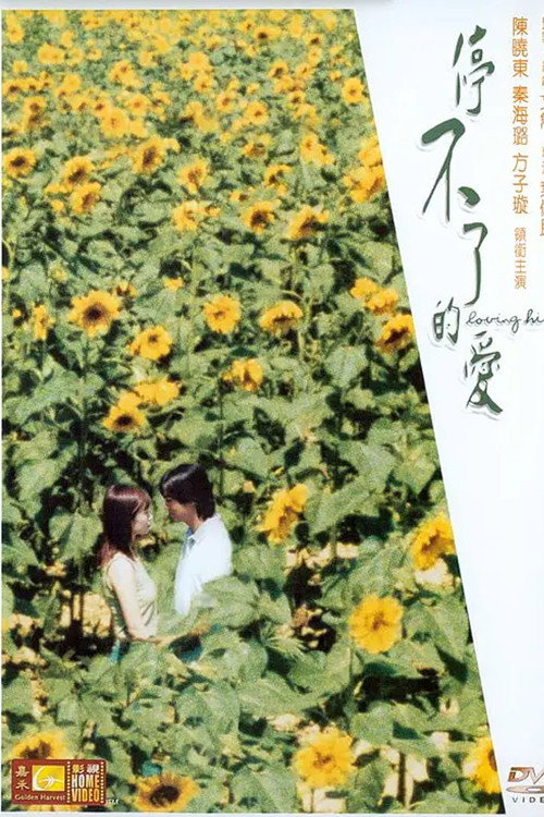 停不了的爱 封面