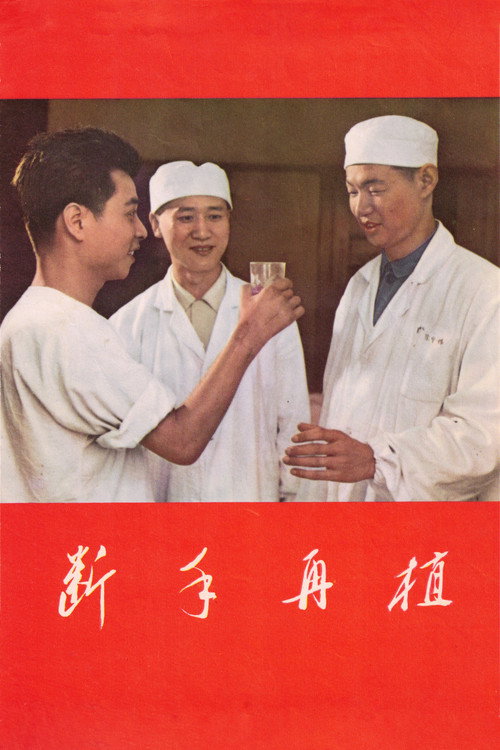 断手再植 封面